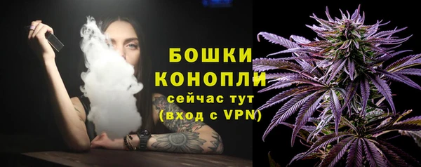 ПСИЛОЦИБИНОВЫЕ ГРИБЫ Богородицк