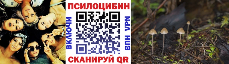 Галлюциногенные грибы Cubensis  Гатчина 